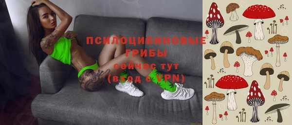 ешки Медногорск