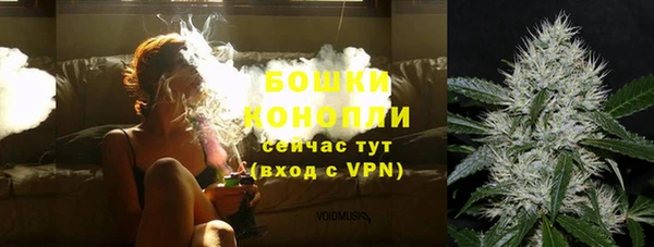 ешки Медногорск