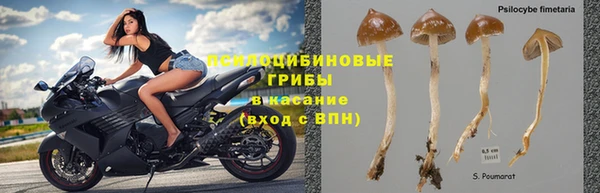 тгк Михайловка