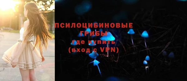 2c-b Михайлов