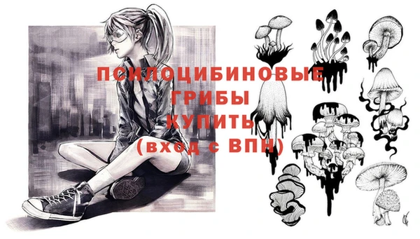 2c-b Михайлов