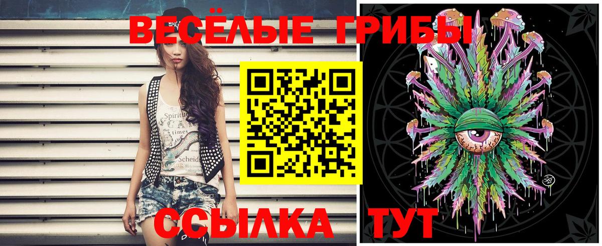 Менделеевск  Псилоцибиновые грибы прущие грибы  Вход с VPN 